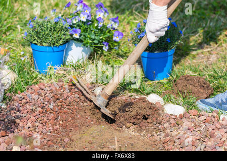 Frühling zu Hause im Garten, Boden hacken und Blumen Pflanzen. Betreuung von Neugeborenen Pflanzen und Handbuch arbeiten im heimischen Garten. Stockfoto