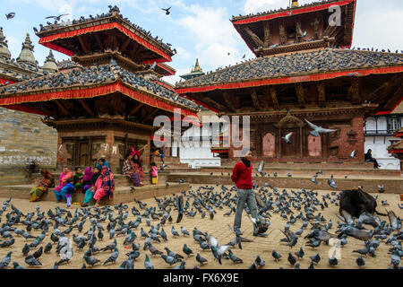 Ca. November 2013 in Kathmandu, Nepal: Tauben am Durbar Square Stockfoto