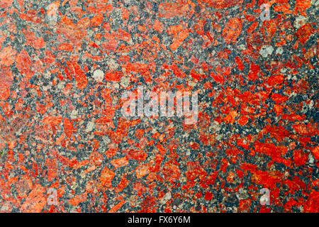 Hintergrund der roten und grauen Granit mit wunderschönen Nuancen. Stockfoto
