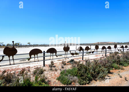 Emus tierische Kunst, Wave Rock Resort, Hyden, Western Australia, WA, Australien Stockfoto