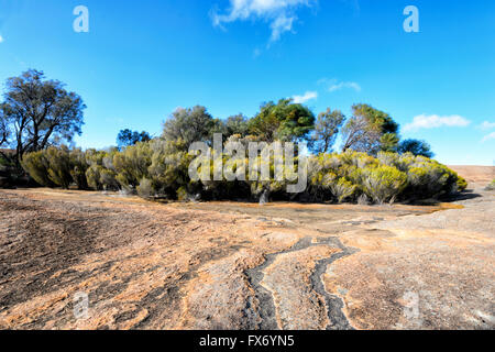 Spitze des Wave Rock, in der Nähe von Hyden, Western Australia, Australien Stockfoto