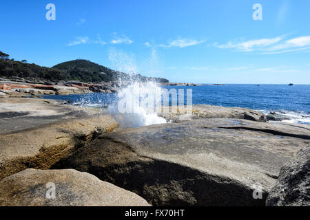 Bicheno Blasloch, Tasmanien, Australien Stockfoto