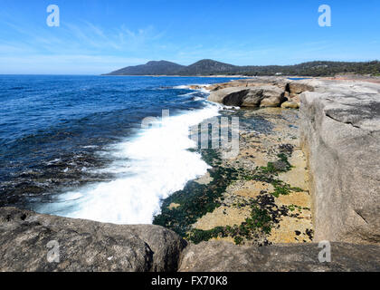 Küste bei Bicheno, Tasmanien, Australien Stockfoto