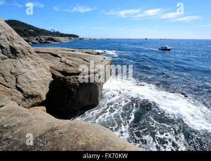 Küste bei Bicheno, Tasmanien, Australien Stockfoto