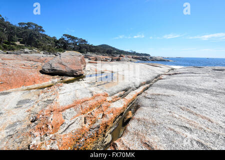 Küste bei Bicheno, Tasmanien, TAS, Australia Stockfoto