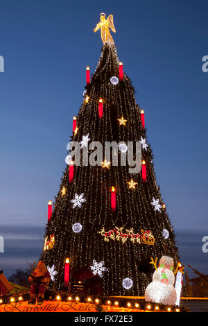 Geschmückter Weihnachtsbaum bei Weihnachten Markt, Dortmund, Ruhr District, North Rhine-Westphalia, Germany Stockfoto