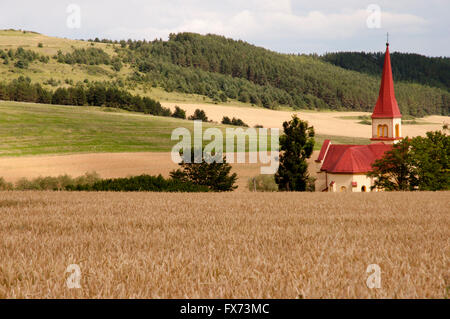 Wheat Field Stockfoto