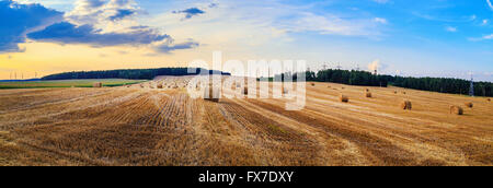 Heuballen auf Feld. Herbst-Feld mit Heuballen nach der Ernte. Stockfoto