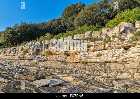 Sonnenuntergang, Felsiger Strand in Istrien, Kroatien. Solaris Sommer Resort, Adria, Lanterna Halbinsel. Stockfoto