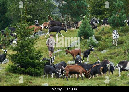 Heidi-Jahr: 2015 Deutschland / Schweiz Regie: Alain Gsponer Quirin Agrippi Stockfoto