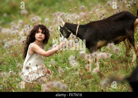 Heidi-Jahr: 2015 Deutschland / Schweiz Regie: Alain Gsponer Anuk Steffen Stockfoto