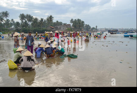 Vietnamesische Fischer ihren Fang zu sortieren und verkaufen Fisch am Strand, Vietnam Stockfoto