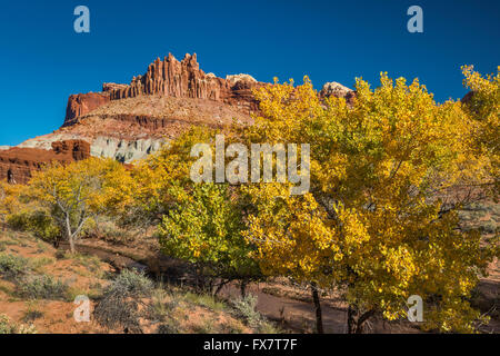 Die Burg über Fremont River, Bäume in herbstlichen Farben, Capitol Reef National Park, Utah, USA Stockfoto