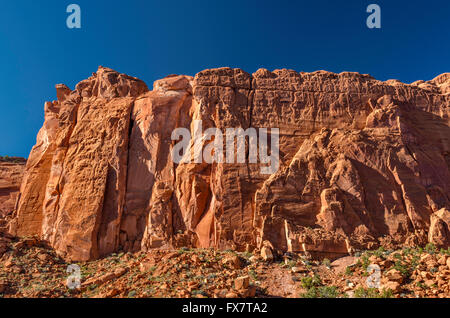 Wingate Sandstein Felsen in Long Canyon, Burr Trail Road, Grand Staircase-Escalante National Monument, Utah, USA Stockfoto