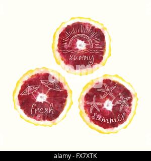 Vektor Aquarell Orangenscheiben und handgezeichneten doodle Elemente. Handgemalte Kreise Sammlung. Stock Vektor