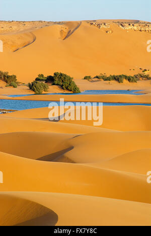 Marokko, Laayoune, Wüste, Laguna, ehemalige Spanisch-Sahara Stockfoto