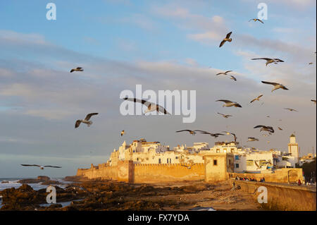 Marokko, Medina, Essaouira, Atlantikküste Stockfoto