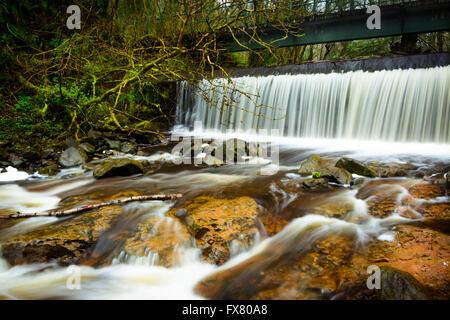 Lange Exposition Erfassung Colin Glen Forest Park, Belfast Stockfoto