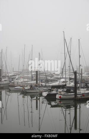 Boote vertäut am Ocean Village Marina an einem nebligen Morgen April Stockfoto