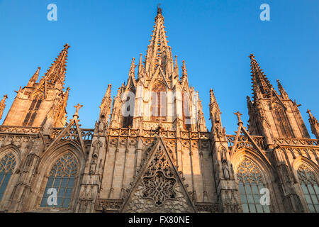 Kathedrale des Heiligen Kreuzes und Santa Eulalia oder die Kathedrale von Barcelona. Fassade im warmen Sonnenlicht Stockfoto