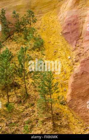 Les Sentiers d'Ocres, Roussillon, Vaucluse, Frankreich 84 Stockfoto