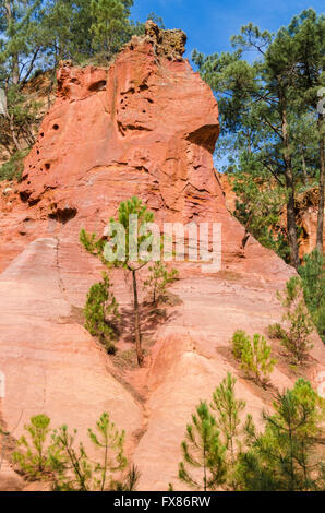 Les Sentiers d'Ocres, Roussillon, Vaucluse, Frankreich 84 Stockfoto