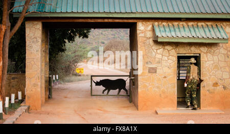 Eingangstor zum Tsavo East National Park im Süden Kenias mit Rhino Motiv Barriere Stockfoto