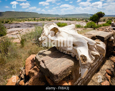 Ein Nilpferd Schädel sitzt auf dem Schild für Lugards fällt auf die Galana Fluss durch Tsavo East National Park in Kenia Stockfoto