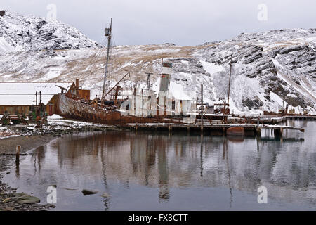 "Sturmvogel" aufgegeben, eine alte Walfangschiff am Strand von Grytviken in Süd-Georgien Stockfoto