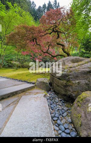 Rot-Ahornbäume durch große Landschaft Felsen entlang Steinweg am japanischen Garten im Frühjahr Stockfoto