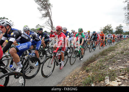 Radprofis im Wettbewerb auf der Tour von Katalonien 2016 in der Nähe von Girona, Spanien Stockfoto