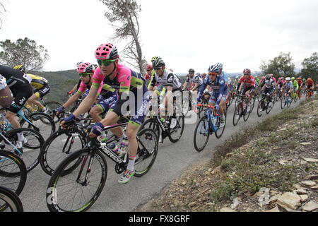 Radprofis im Wettbewerb auf der Tour von Katalonien 2016 in der Nähe von Girona, Spanien Stockfoto