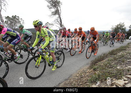 Radprofis im Wettbewerb auf der Tour von Katalonien 2016 in der Nähe von Girona, Spanien Stockfoto