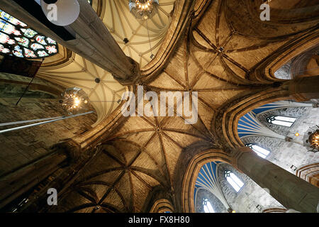 Decken der St. Giles Kathedrale. Edinburgh.UK Stockfoto