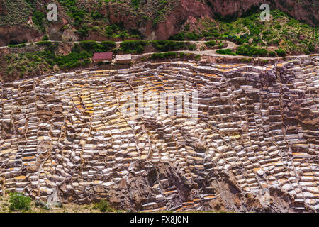 Salz Verdampfung Teiche bei Maras Dorf in Peru Stockfoto