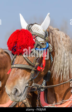 Stockfoto