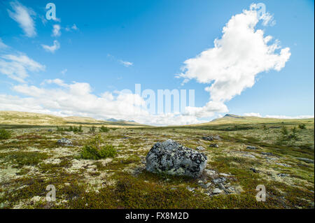 Öffnen norwegischen Ebene mit kleinen Berg in der Ferne, in kleinen Gras bedeckt, weiches Moos, Flechten und einen grossen Stein rock Stockfoto