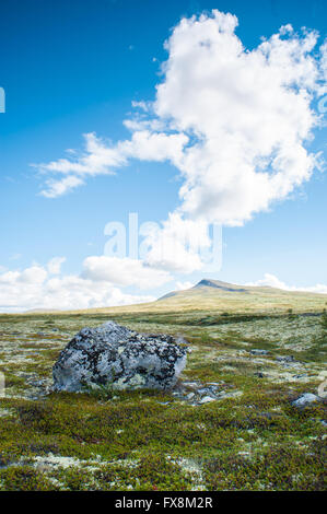 Offene norwegischen Ebene mit kleinen Berg in der Ferne, in kleinen Rasen, weiches Moos, Flechten und ein großer Stein Stein bedeckt Stockfoto