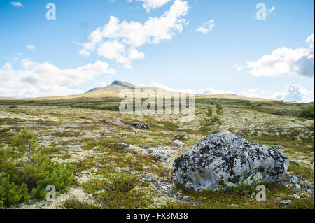 Offene norwegischen Ebene mit kleinen Berg in der Ferne, in kleinen Rasen, weiches Moos, Flechten und ein großer Stein Stein bedeckt Stockfoto