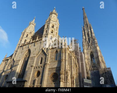 Saint Stephen Cathedral durch Herzog Rudolf IV., wurde auf die alte Kirche aus dem Jahr 1147 in der gotischen Architektur errichtet Stockfoto