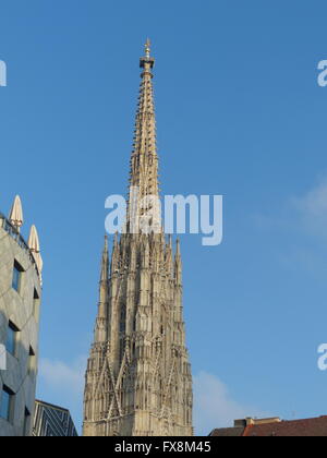 Saint Stephen Cathedral durch Herzog Rudolf IV., wurde auf die alte Kirche aus dem Jahr 1147 in der gotischen Architektur errichtet Stockfoto