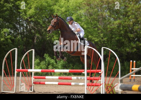 Mädchen im Pferdesport Uniform auf dem Pferderücken Hindernis springen Stockfoto