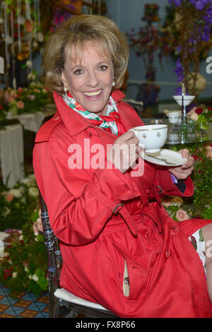 Esther Rantzen am VIP Vorschau Tag von der Chelsea Flower Show in The Royal Hospital Chelsea Stockfoto