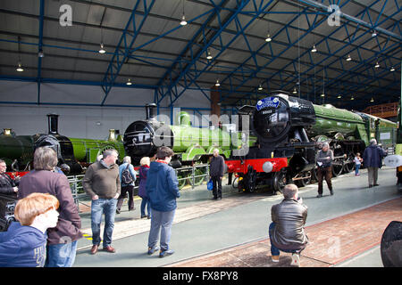 Der fliegende Schotte am National Railway Museum, York, n-te Yorkshire Stockfoto