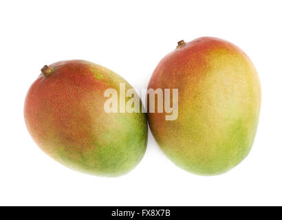 Zwei Mango-Früchten isoliert Stockfoto