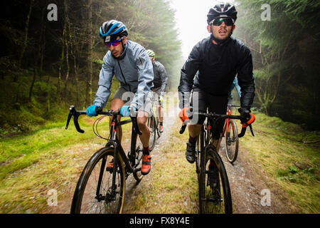 Eine Gruppe von Freunden zusammen Radfahren In die Berge und Wälder rund um Machynlleth, Powys, Wales UK Stockfoto