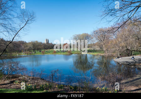 Blick über Schildkrötenteich gegenüber dem Great Lawn im Central Park in New York City. Stockfoto
