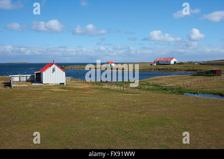 Wirtschaftsgebäude auf Bleaker Island in den Falkland-Inseln Stockfoto