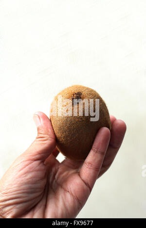Nahaufnahme von Hand halten ganze Kiwifrucht oder bekannt als chinesische Stachelbeere in der linken hand Stockfoto