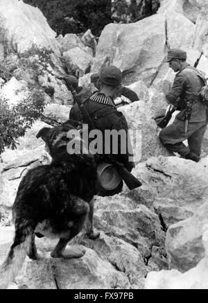 Das Bild der Nazi-Propaganda zeigt Soldaten der deutschen Wehrmacht, die in Jugoslawien gegen Partisanen kämpfen. Das Foto wurde im Dezember 1943 veröffentlicht. Seit Sommer 1942 war der Name "Parteimann" von den Deutschen aus psychologischen Gründen verboten und durch den Namen "Banden" (Banden), "Banditen" (Banditen) und "Bandenbekaempfung" (Kampfbanden) ersetzt worden. Fotoarchiv für Zeitgeschichtee - KEINE ÜBERWEISUNG - Stockfoto